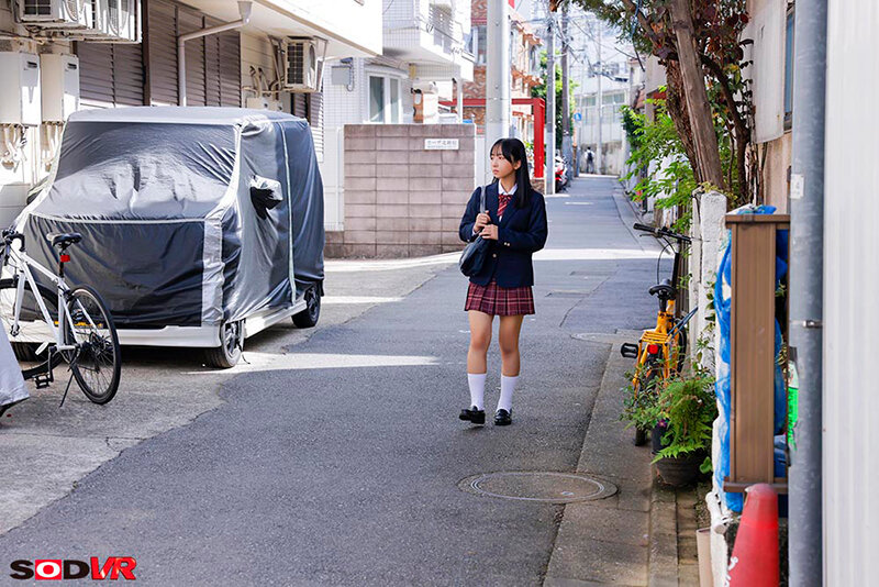 【VR】【8K】大人しくて清純な女子●生をストーキング追跡。自宅に押し入って何度も中出しレ×プ